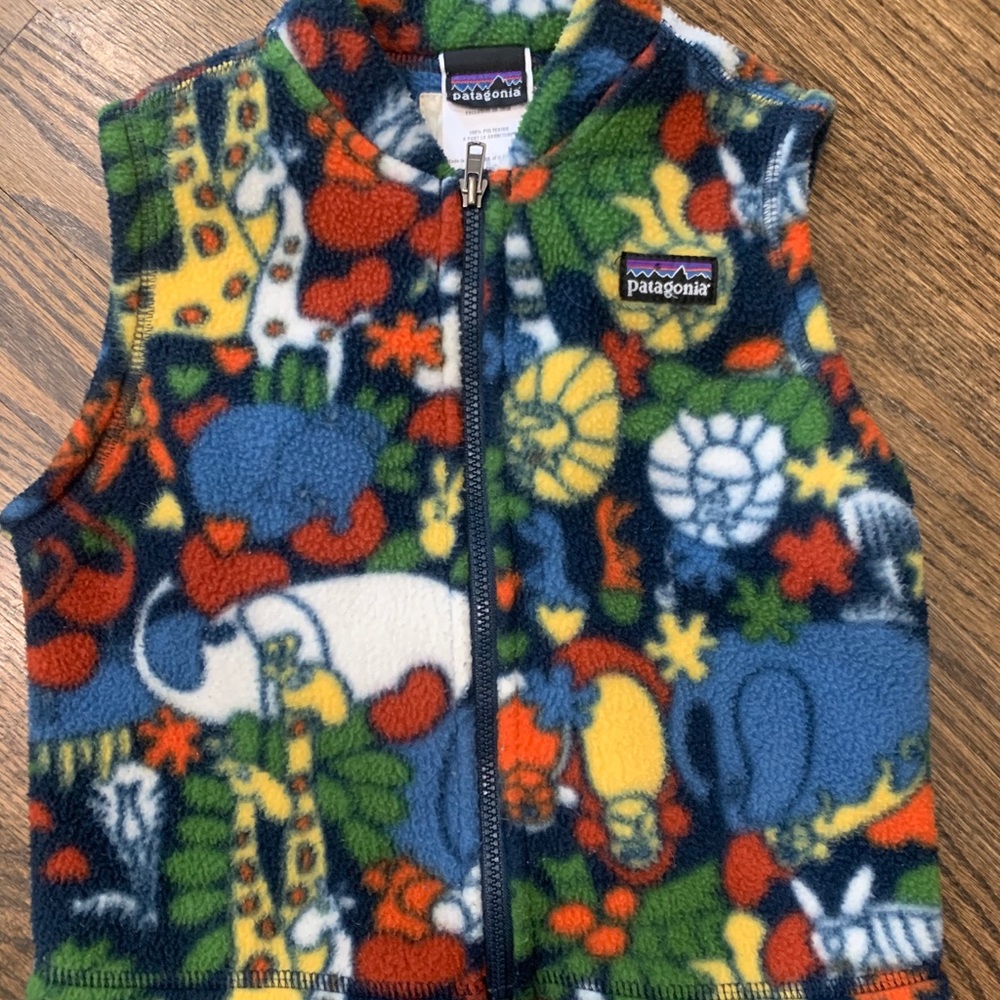 Patagonia vest